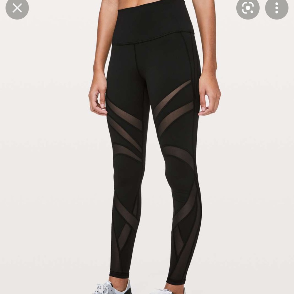 Lulu with mesh